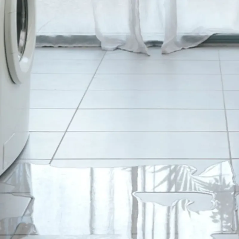 Appliance Leak Cleanup in Grant County, AR