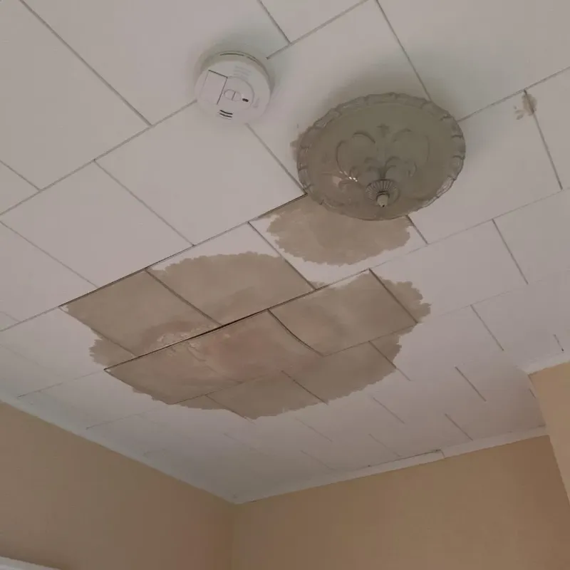 Ceiling Water Damage Repair in Grant County, AR
