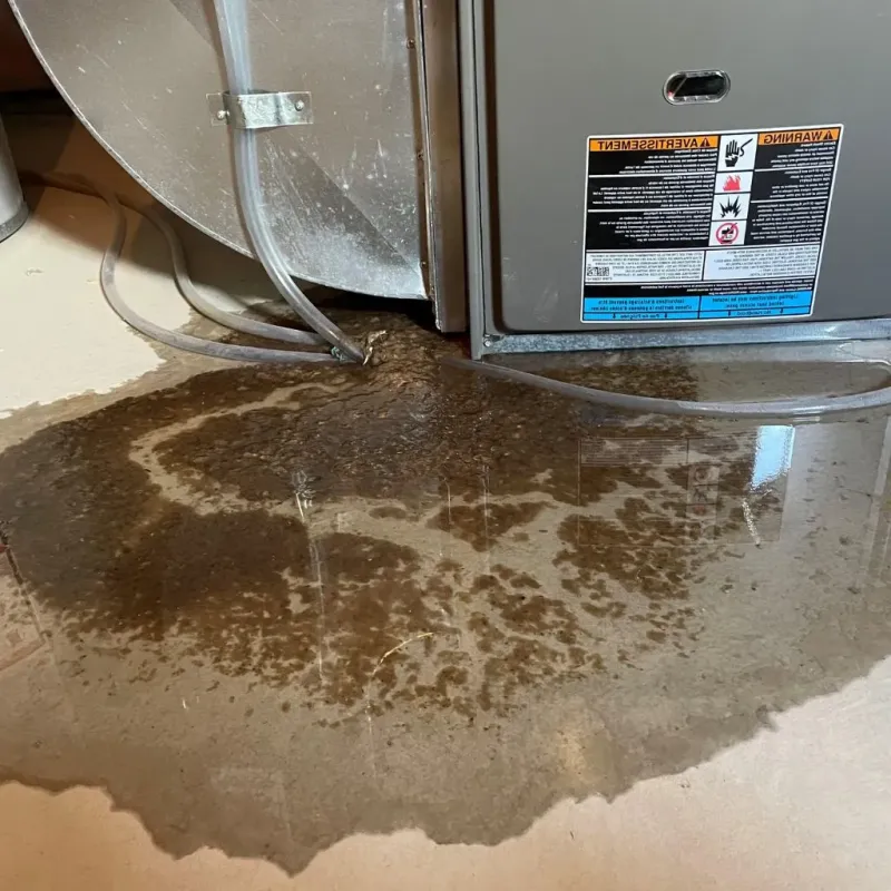 Pipe Burst and Leak Restoration in Grant County, AR