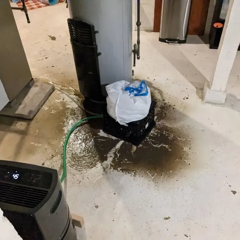 Sewage Backup Cleanup Service in Grant County, AR